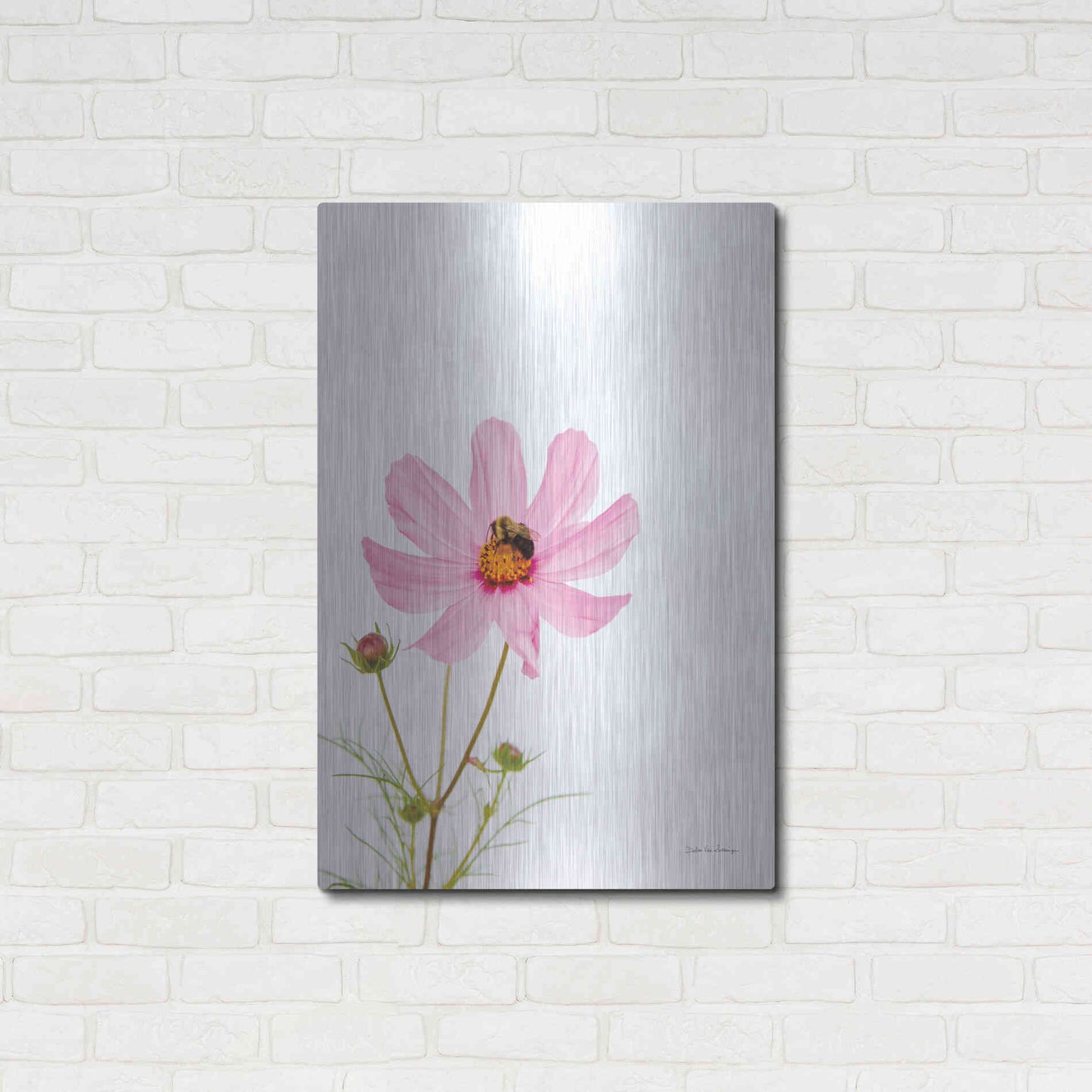 Luxe Metal Art 'Pale Cosmos II' by Debra Van Swearingen, Metal Wall Art,24x36