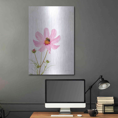 Luxe Metal Art 'Pale Cosmos II' by Debra Van Swearingen, Metal Wall Art,24x36