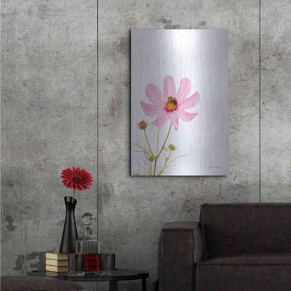 Luxe Metal Art 'Pale Cosmos II' by Debra Van Swearingen, Metal Wall Art,24x36