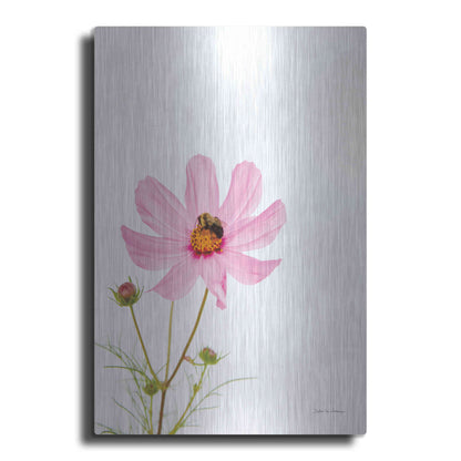 Luxe Metal Art 'Pale Cosmos II' by Debra Van Swearingen, Metal Wall Art