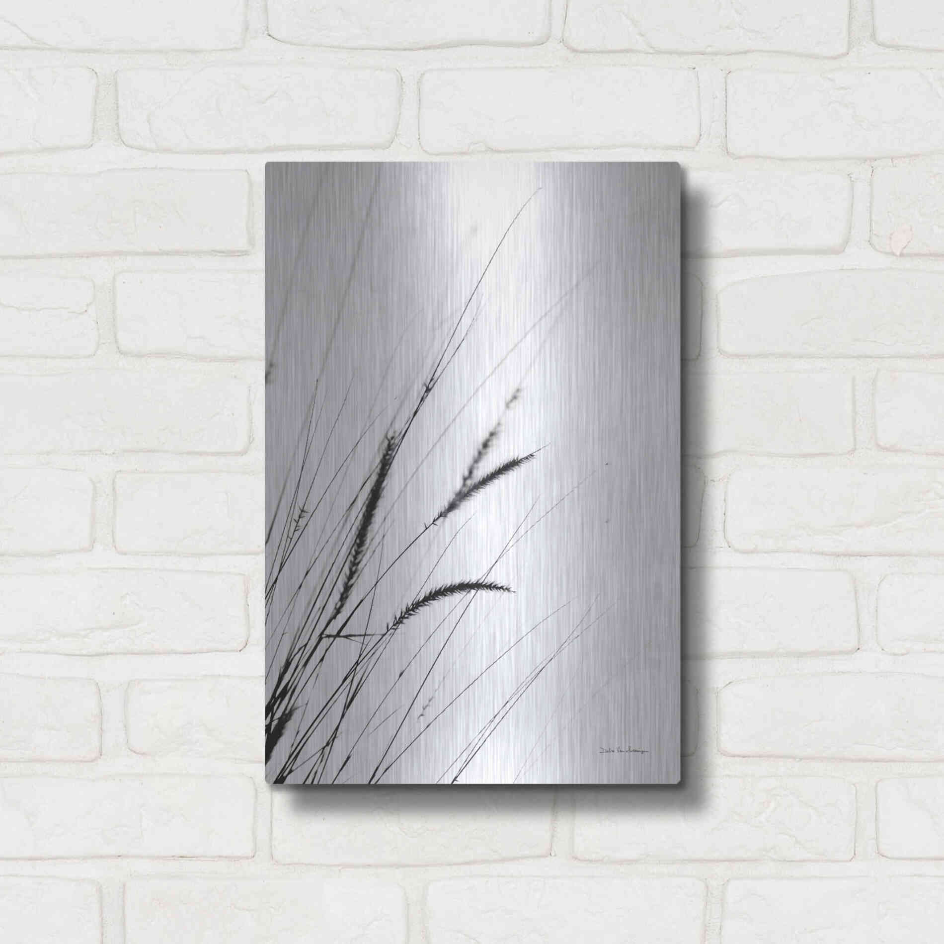 Luxe Metal Art 'Field Grasses I White' by Debra Van Swearingen, Metal Wall Art,12x16