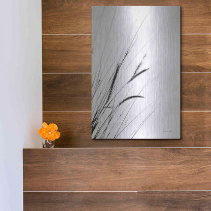 Luxe Metal Art 'Field Grasses I White' by Debra Van Swearingen, Metal Wall Art,12x16