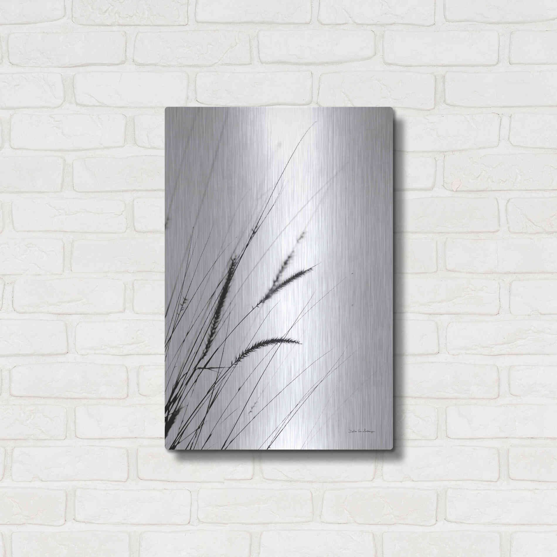 Luxe Metal Art 'Field Grasses I White' by Debra Van Swearingen, Metal Wall Art,16x24