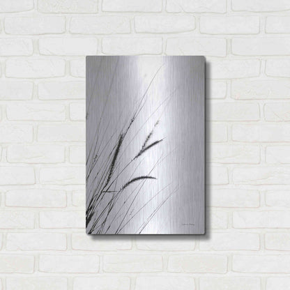 Luxe Metal Art 'Field Grasses I White' by Debra Van Swearingen, Metal Wall Art,16x24