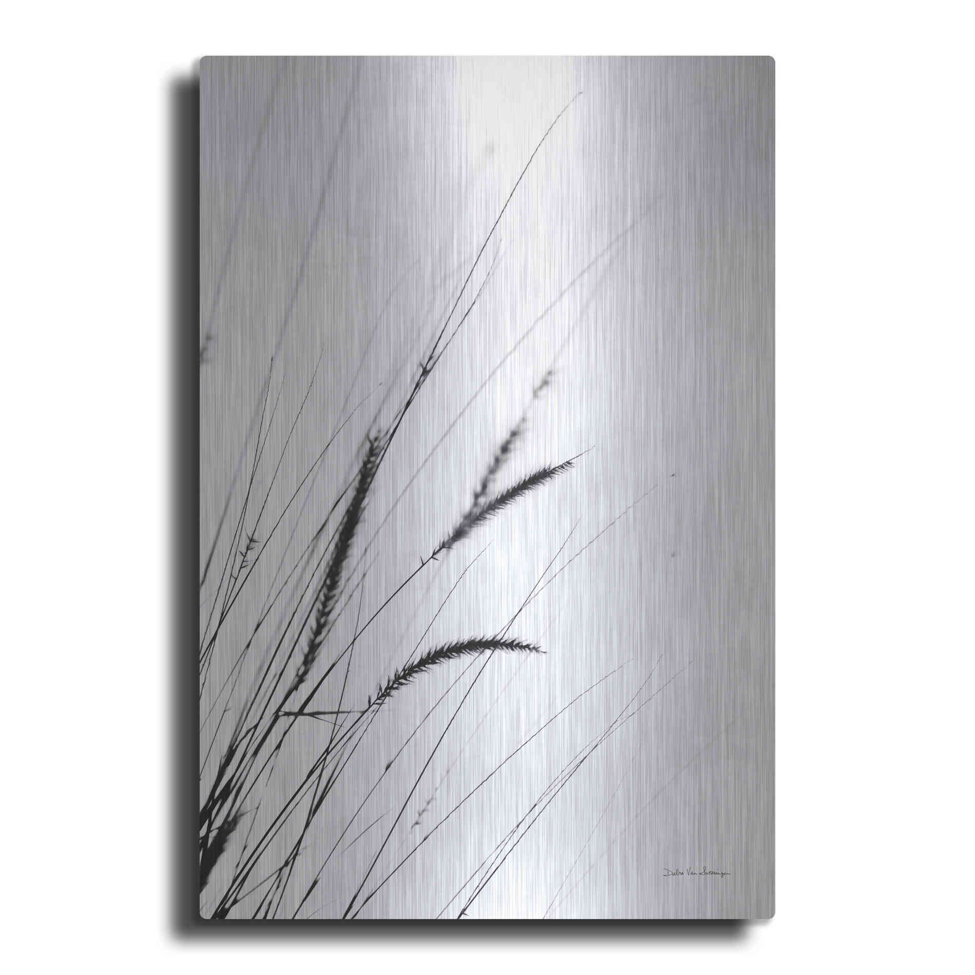 Luxe Metal Art 'Field Grasses I White' by Debra Van Swearingen, Metal Wall Art