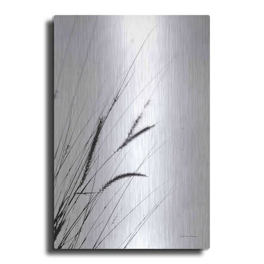 Luxe Metal Art 'Field Grasses I White' by Debra Van Swearingen, Metal Wall Art