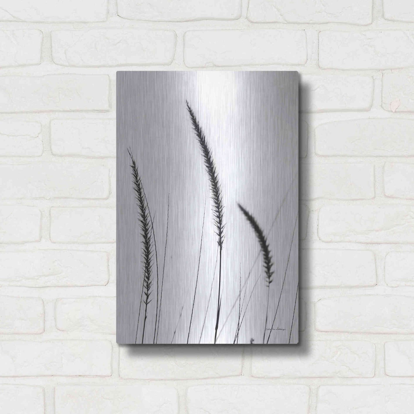 Luxe Metal Art 'Field Grasses IV White' by Debra Van Swearingen, Metal Wall Art,12x16