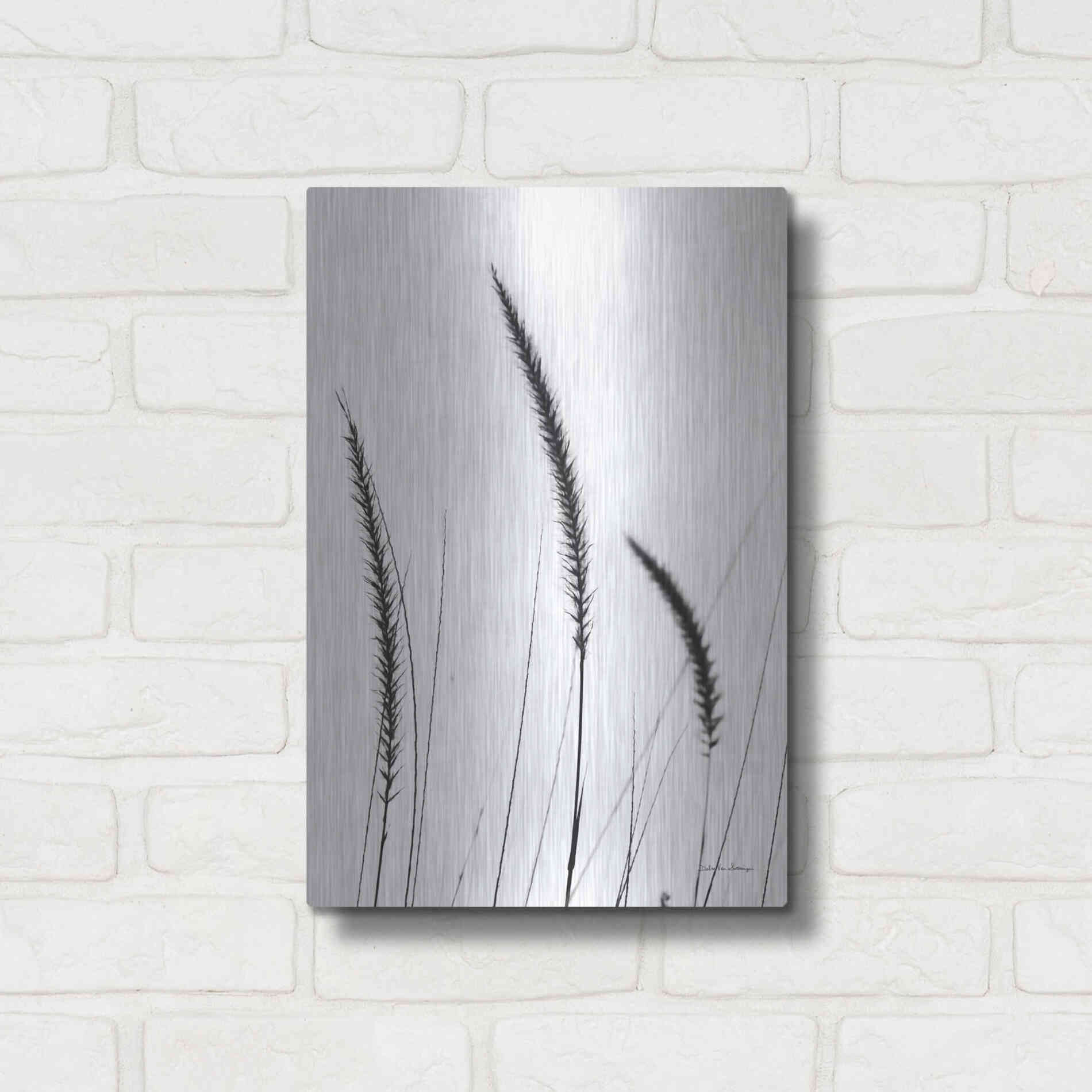 Luxe Metal Art 'Field Grasses IV White' by Debra Van Swearingen, Metal Wall Art,12x16