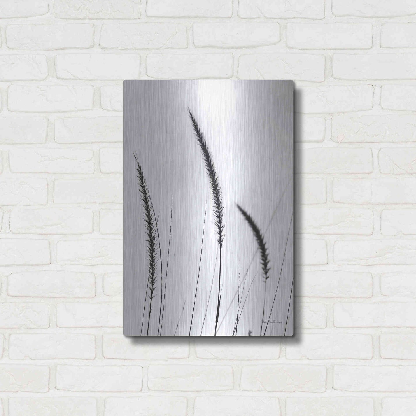 Luxe Metal Art 'Field Grasses IV White' by Debra Van Swearingen, Metal Wall Art,16x24