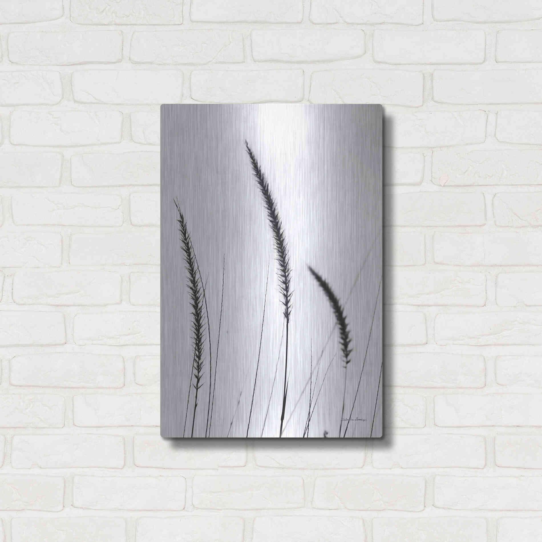 Luxe Metal Art 'Field Grasses IV White' by Debra Van Swearingen, Metal Wall Art,16x24
