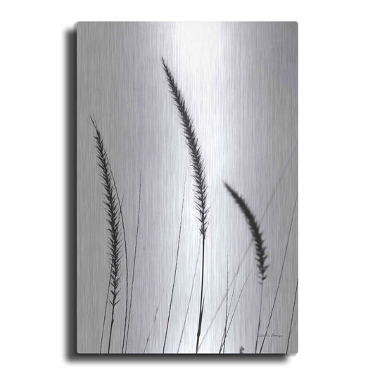 Luxe Metal Art 'Field Grasses IV White' by Debra Van Swearingen, Metal Wall Art
