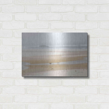 Luxe Metal Art 'Cold Beach I' by Debra Van Swearingen, Metal Wall Art,24x16