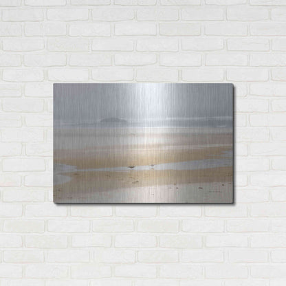 Luxe Metal Art 'Cold Beach I' by Debra Van Swearingen, Metal Wall Art,36x24