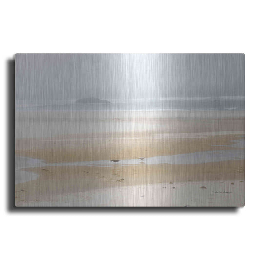 Luxe Metal Art 'Cold Beach I' by Debra Van Swearingen, Metal Wall Art