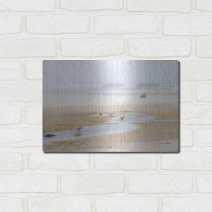 Luxe Metal Art 'Cold Beach II' by Debra Van Swearingen, Metal Wall Art,16x12