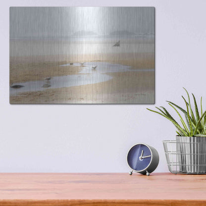 Luxe Metal Art 'Cold Beach II' by Debra Van Swearingen, Metal Wall Art,16x12