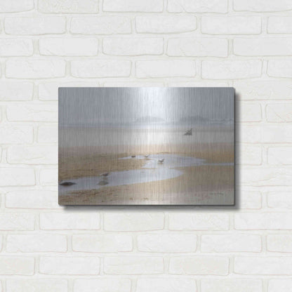 Luxe Metal Art 'Cold Beach II' by Debra Van Swearingen, Metal Wall Art,24x16