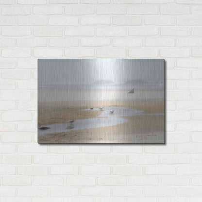 Luxe Metal Art 'Cold Beach II' by Debra Van Swearingen, Metal Wall Art,36x24