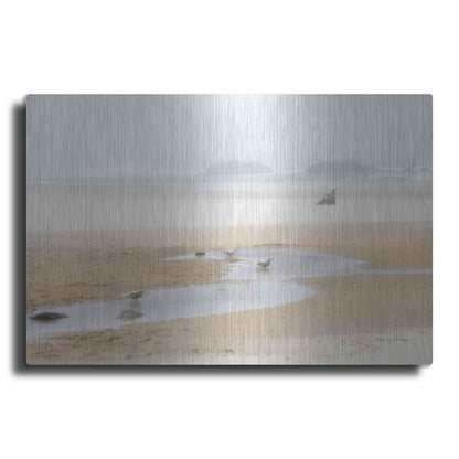 Luxe Metal Art 'Cold Beach II' by Debra Van Swearingen, Metal Wall Art