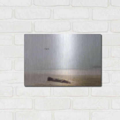 Luxe Metal Art 'Cold Beach III' by Debra Van Swearingen, Metal Wall Art,16x12