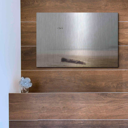 Luxe Metal Art 'Cold Beach III' by Debra Van Swearingen, Metal Wall Art,16x12