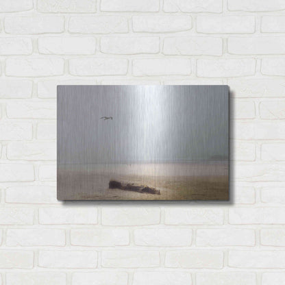 Luxe Metal Art 'Cold Beach III' by Debra Van Swearingen, Metal Wall Art,24x16