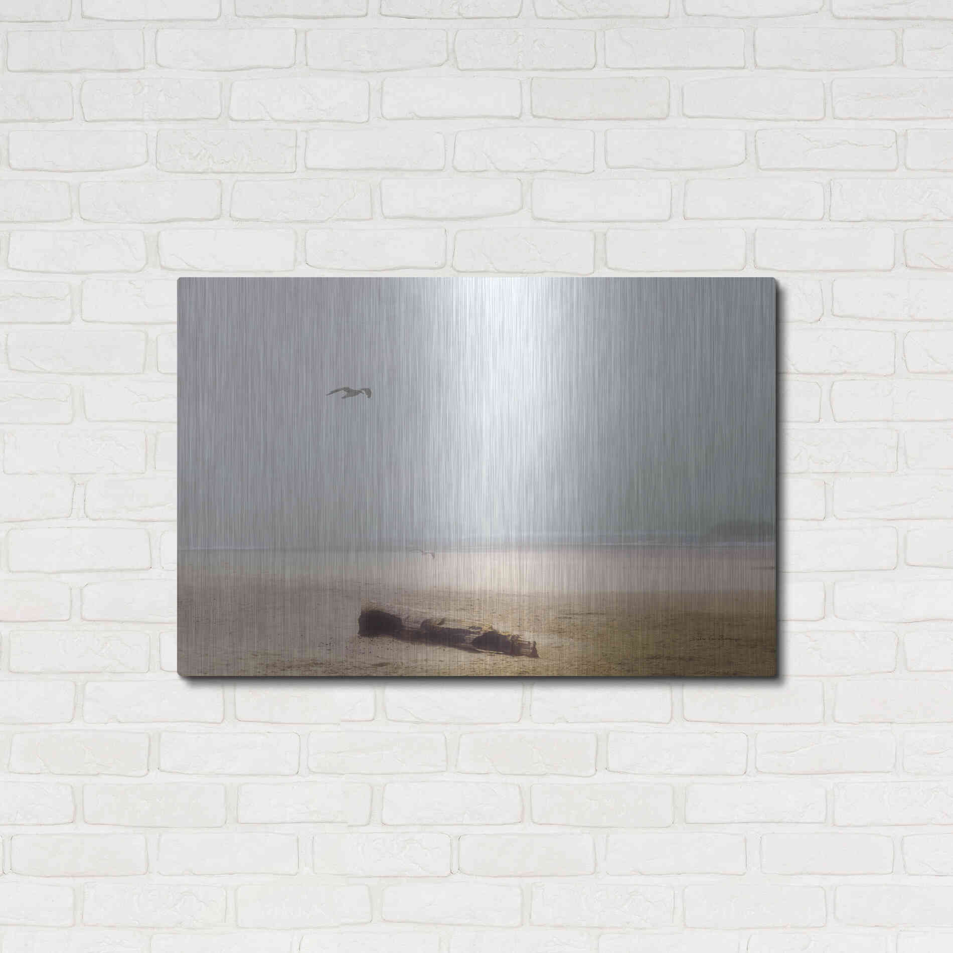 Luxe Metal Art 'Cold Beach III' by Debra Van Swearingen, Metal Wall Art,36x24