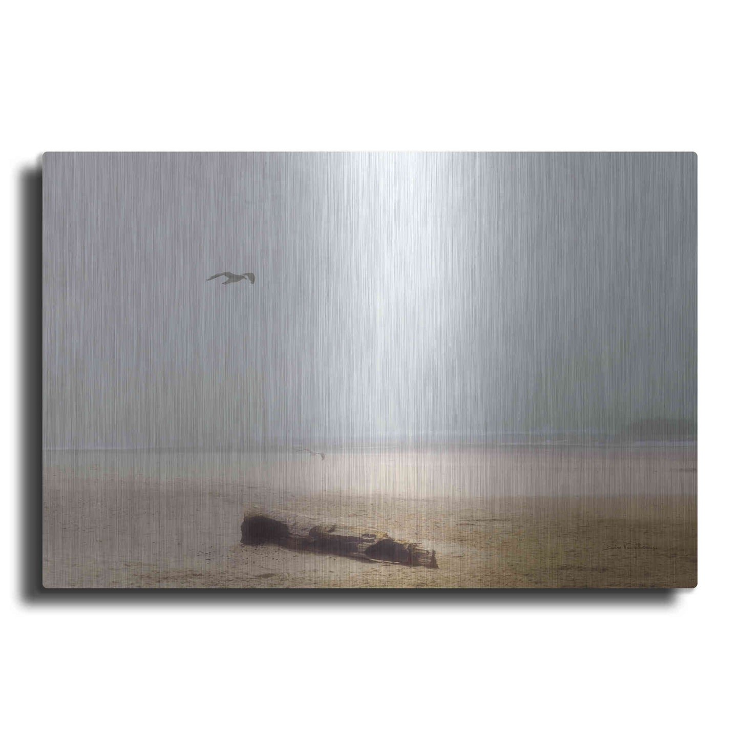 Luxe Metal Art 'Cold Beach III' by Debra Van Swearingen, Metal Wall Art