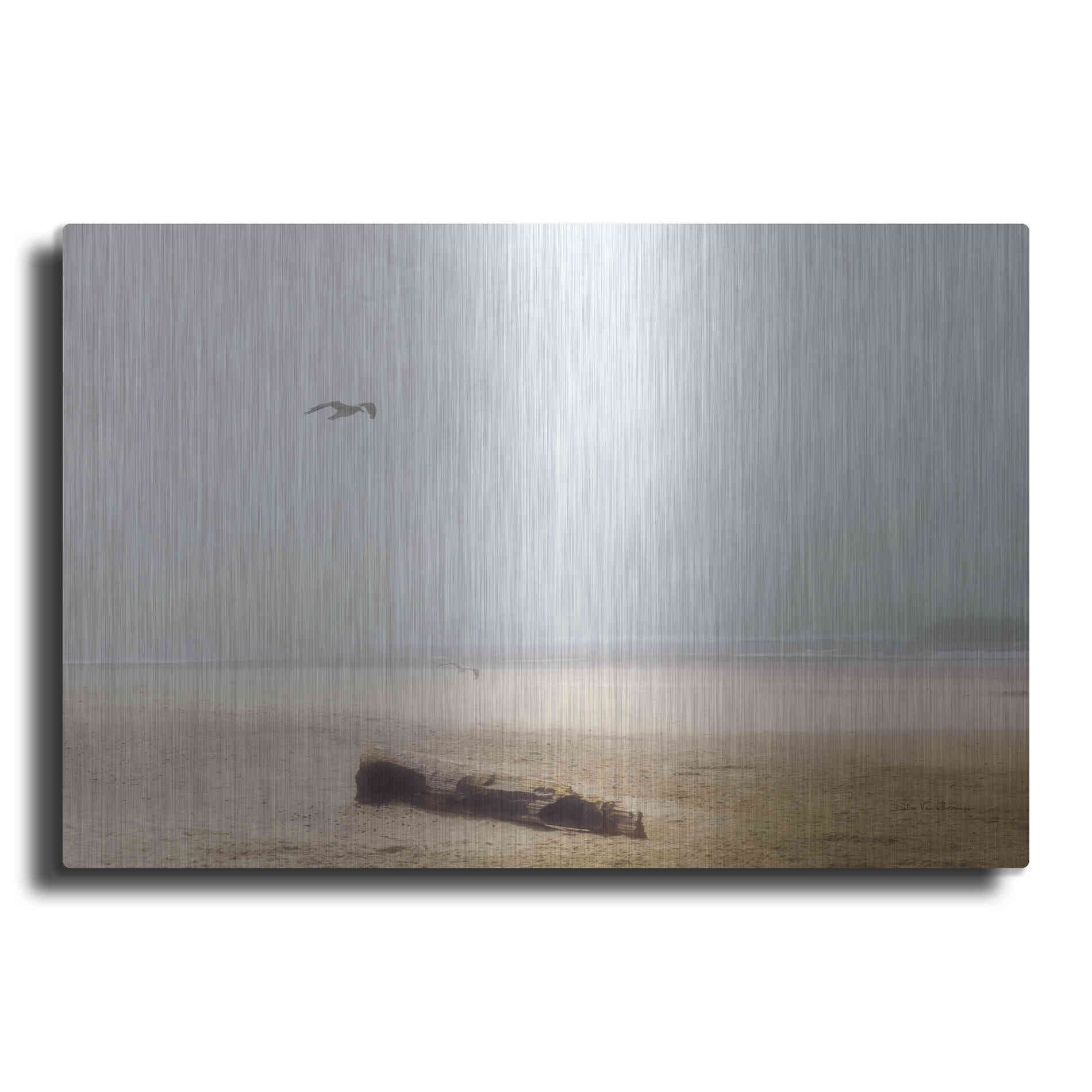 Luxe Metal Art 'Cold Beach III' by Debra Van Swearingen, Metal Wall Art