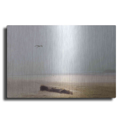 Luxe Metal Art 'Cold Beach III' by Debra Van Swearingen, Metal Wall Art