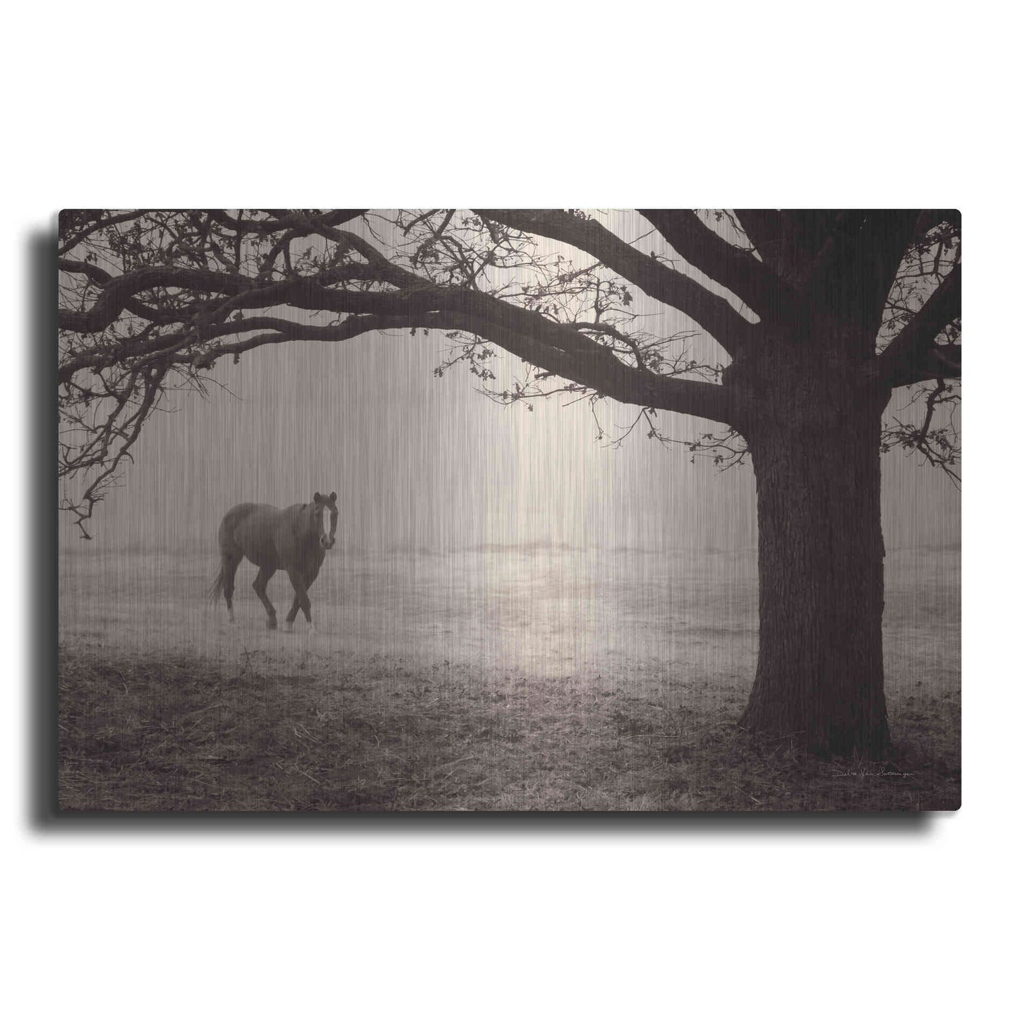 Luxe Metal Art 'Hazy Horse I' by Debra Van Swearingen, Metal Wall Art