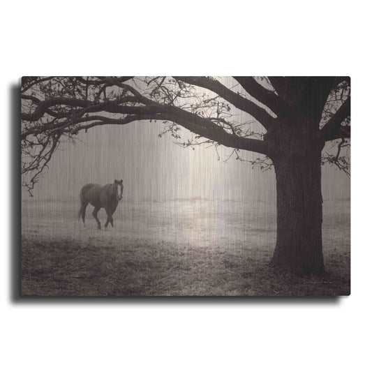 Luxe Metal Art 'Hazy Horse I' by Debra Van Swearingen, Metal Wall Art