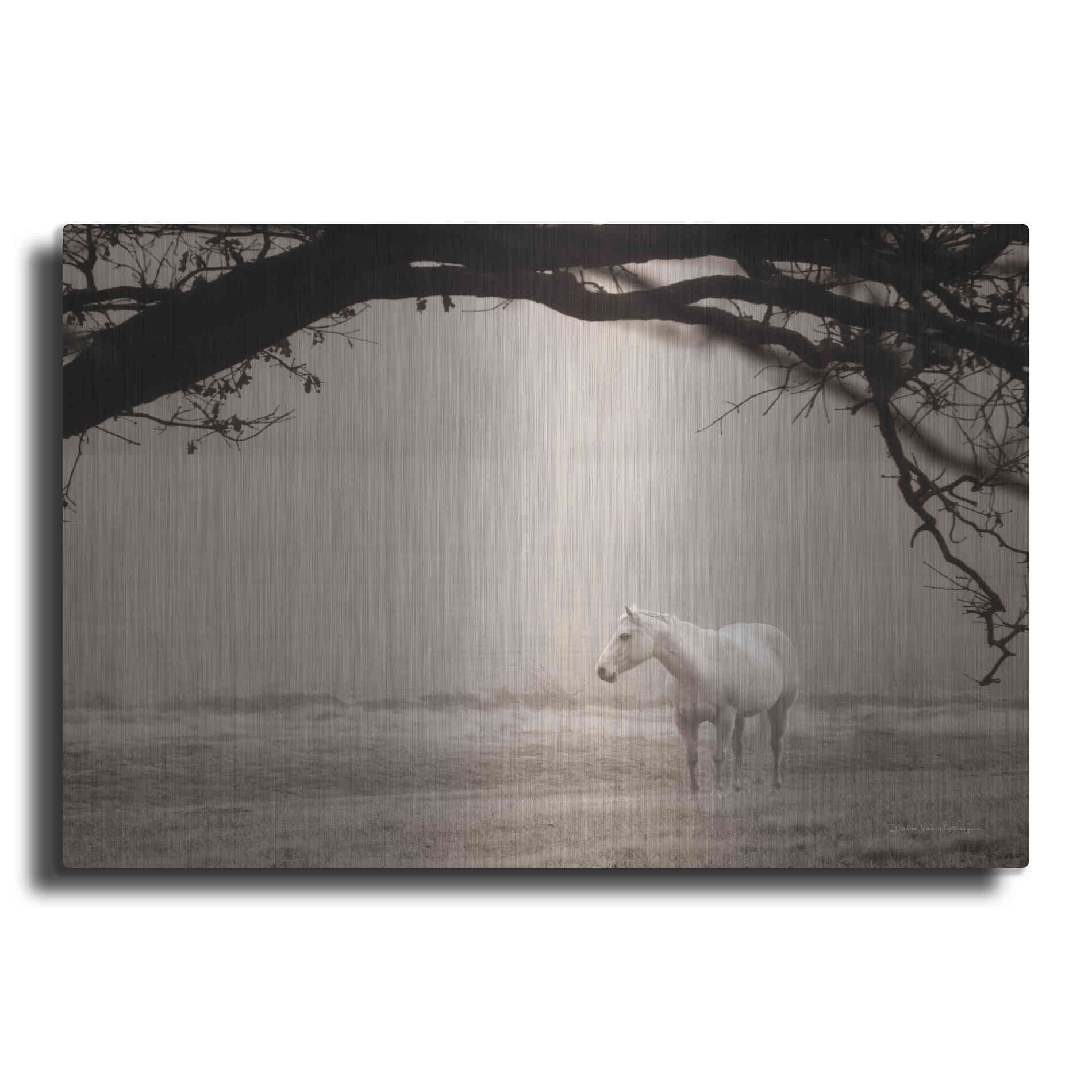 Luxe Metal Art 'Hazy Horse II' by Debra Van Swearingen, Metal Wall Art