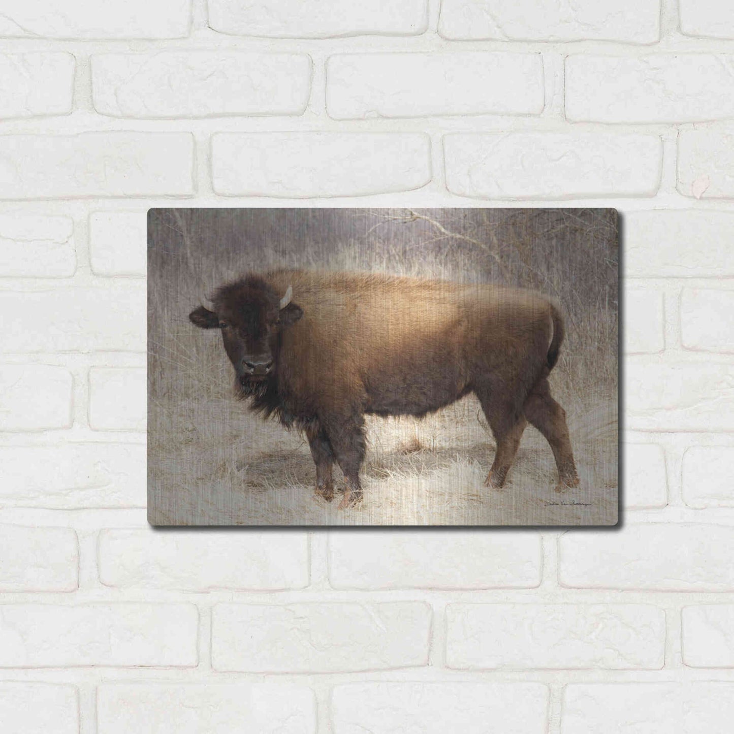 Luxe Metal Art 'American Bison I' by Debra Van Swearingen, Metal Wall Art,16x12