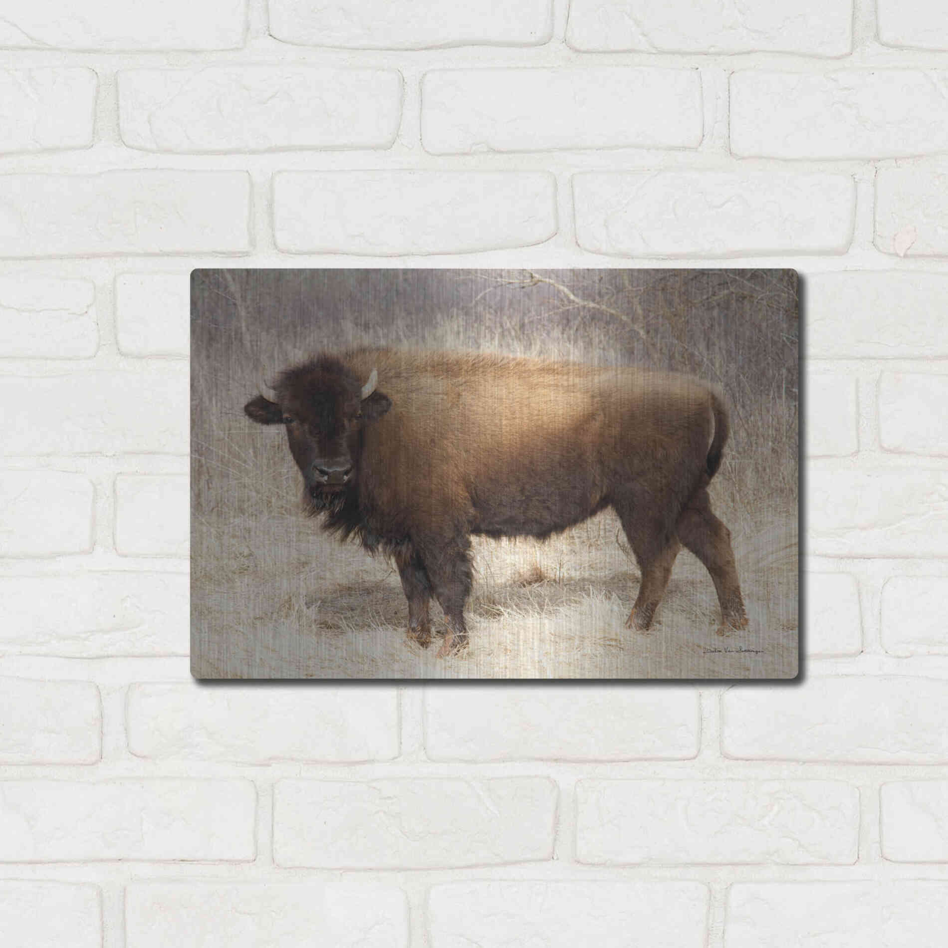 Luxe Metal Art 'American Bison I' by Debra Van Swearingen, Metal Wall Art,16x12