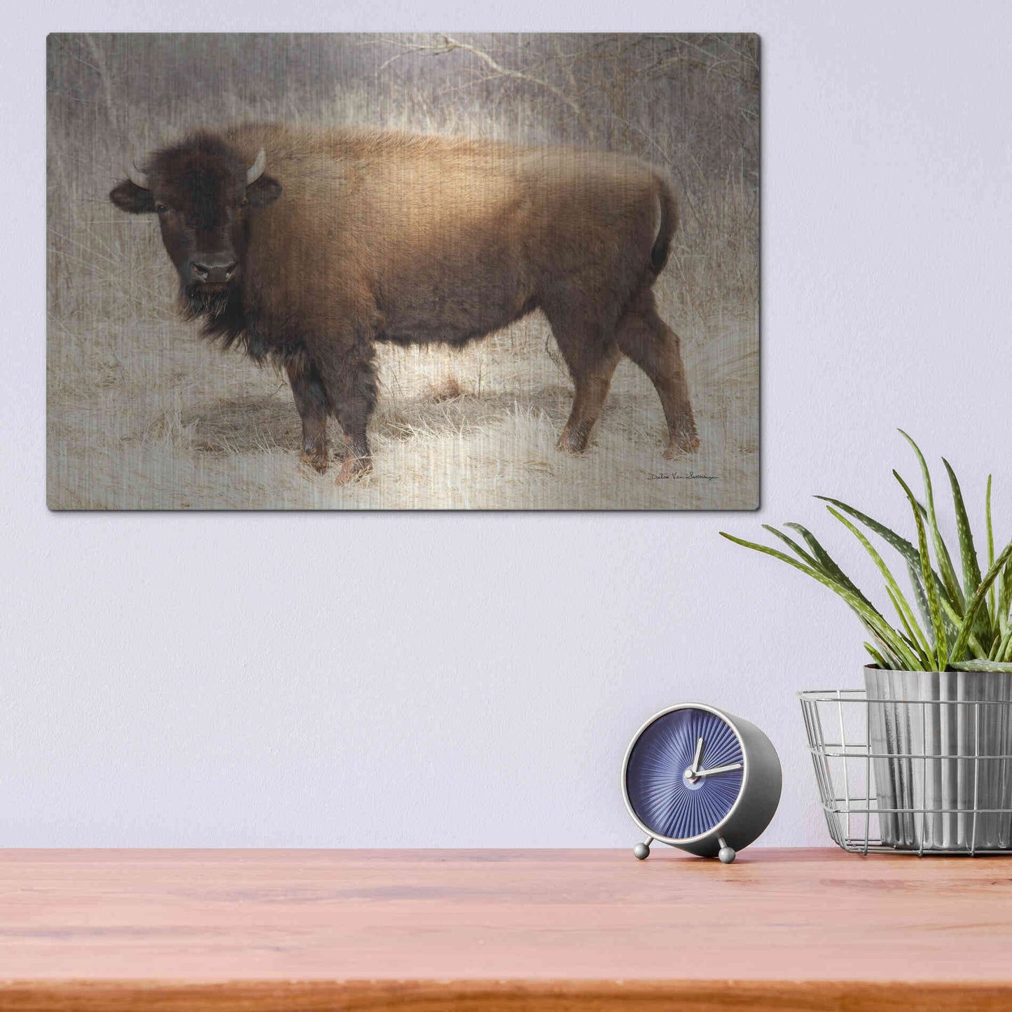 Luxe Metal Art 'American Bison I' by Debra Van Swearingen, Metal Wall Art,16x12
