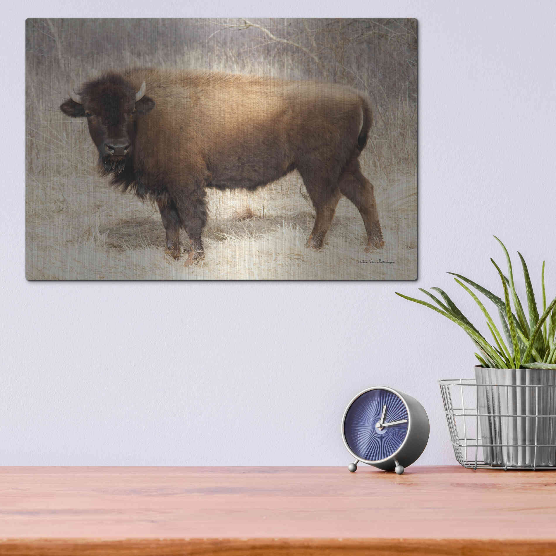 Luxe Metal Art 'American Bison I' by Debra Van Swearingen, Metal Wall Art,16x12