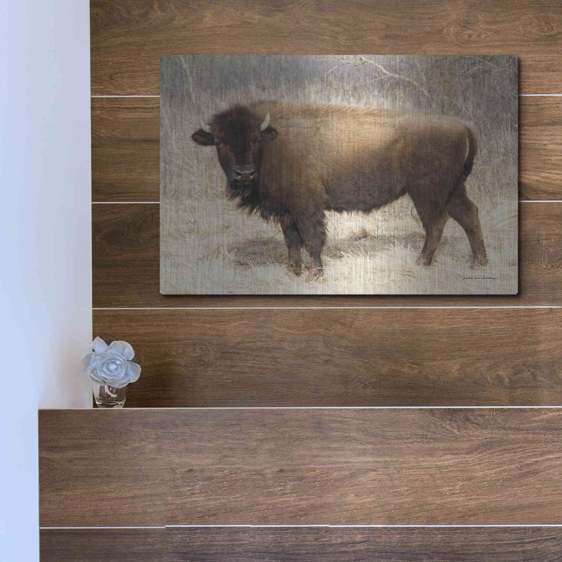 Luxe Metal Art 'American Bison I' by Debra Van Swearingen, Metal Wall Art,16x12