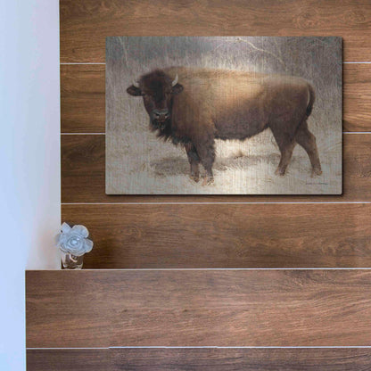 Luxe Metal Art 'American Bison I' by Debra Van Swearingen, Metal Wall Art,16x12