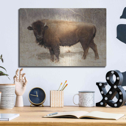 Luxe Metal Art 'American Bison I' by Debra Van Swearingen, Metal Wall Art,16x12