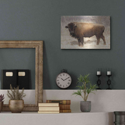 Luxe Metal Art 'American Bison I' by Debra Van Swearingen, Metal Wall Art,16x12