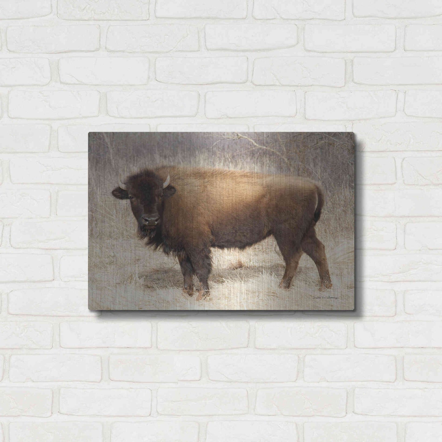 Luxe Metal Art 'American Bison I' by Debra Van Swearingen, Metal Wall Art,24x16