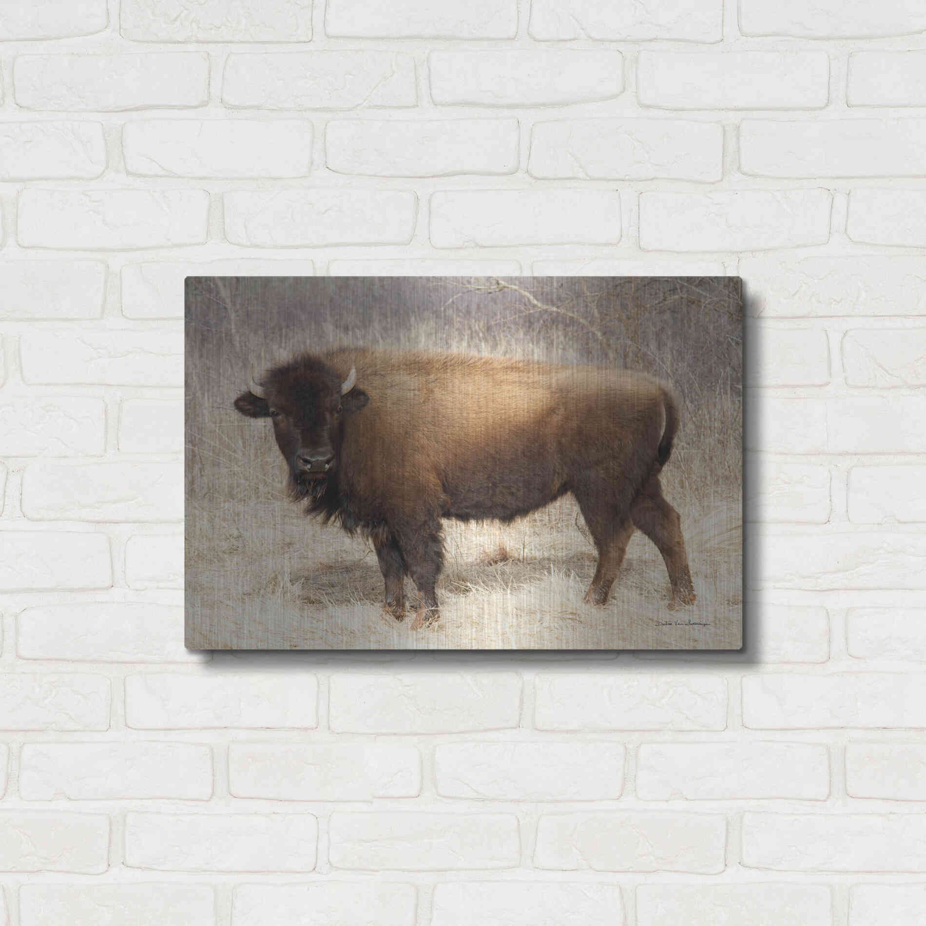 Luxe Metal Art 'American Bison I' by Debra Van Swearingen, Metal Wall Art,24x16