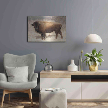 Luxe Metal Art 'American Bison I' by Debra Van Swearingen, Metal Wall Art,24x16