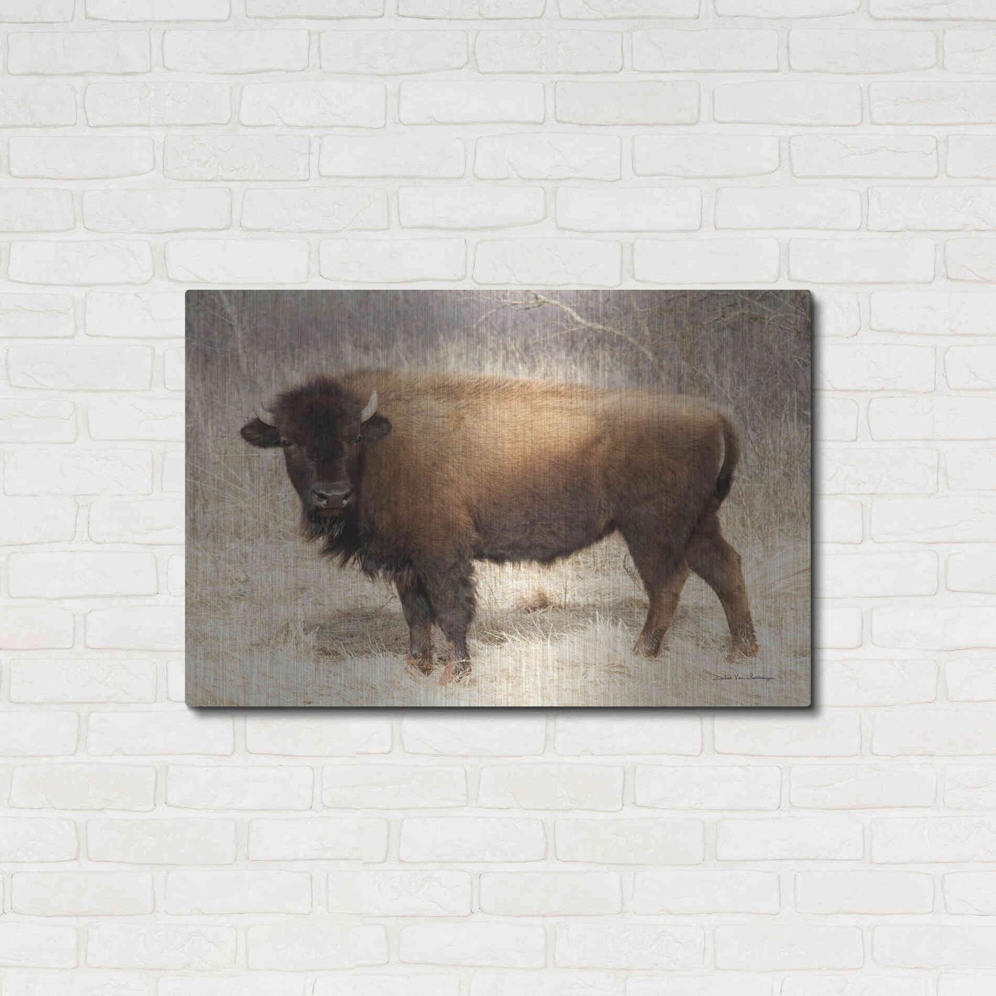 Luxe Metal Art 'American Bison I' by Debra Van Swearingen, Metal Wall Art,36x24