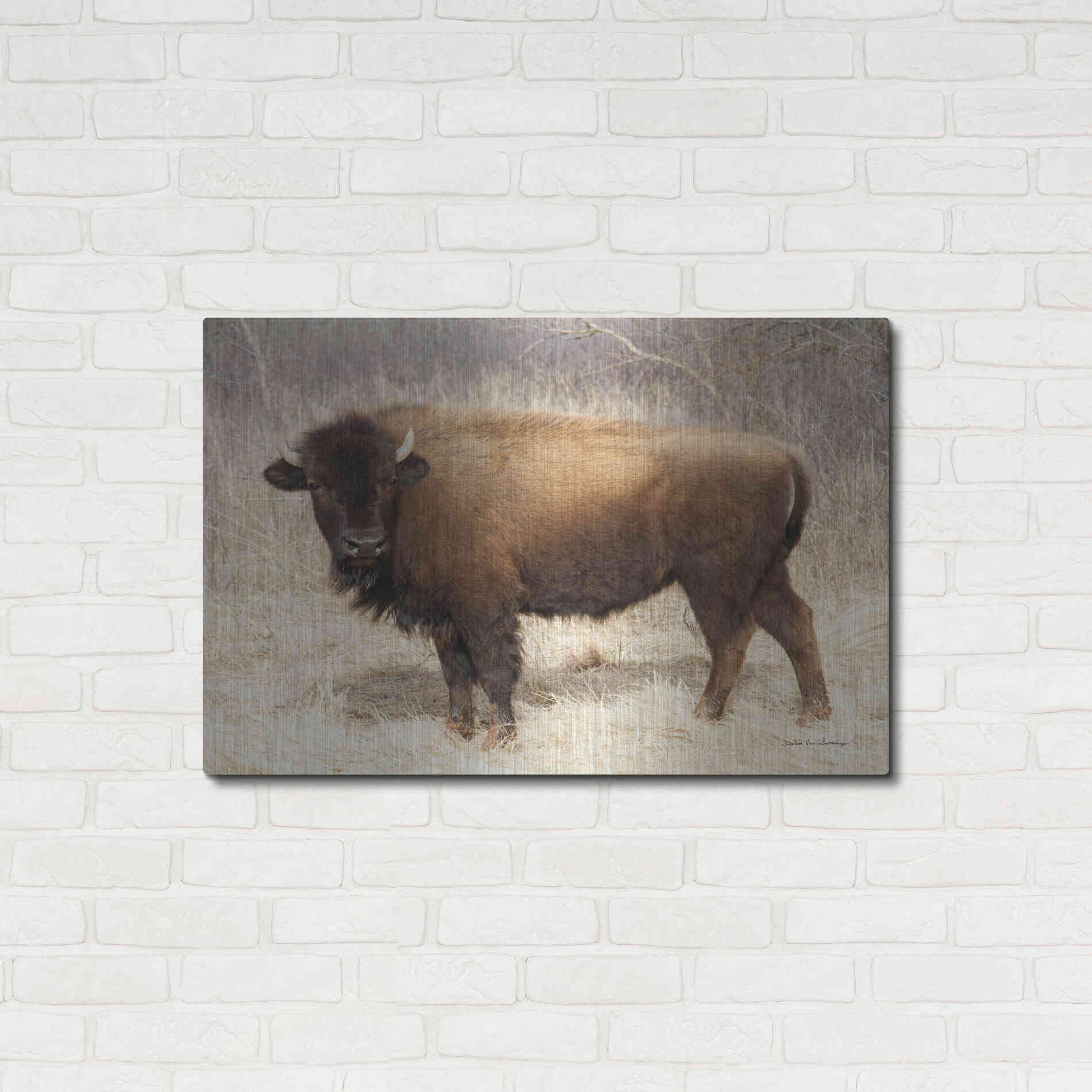 Luxe Metal Art 'American Bison I' by Debra Van Swearingen, Metal Wall Art,36x24