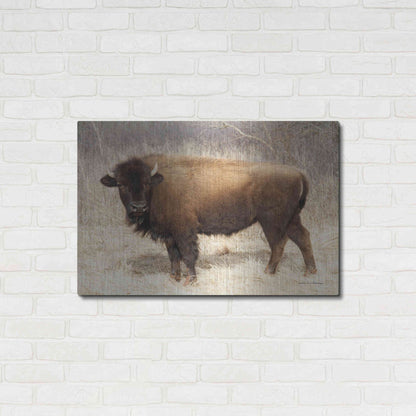 Luxe Metal Art 'American Bison I' by Debra Van Swearingen, Metal Wall Art,36x24