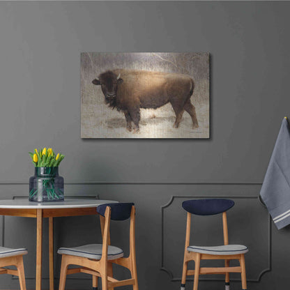 Luxe Metal Art 'American Bison I' by Debra Van Swearingen, Metal Wall Art,36x24