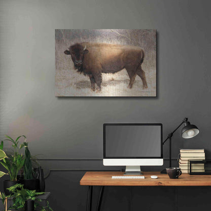 Luxe Metal Art 'American Bison I' by Debra Van Swearingen, Metal Wall Art,36x24