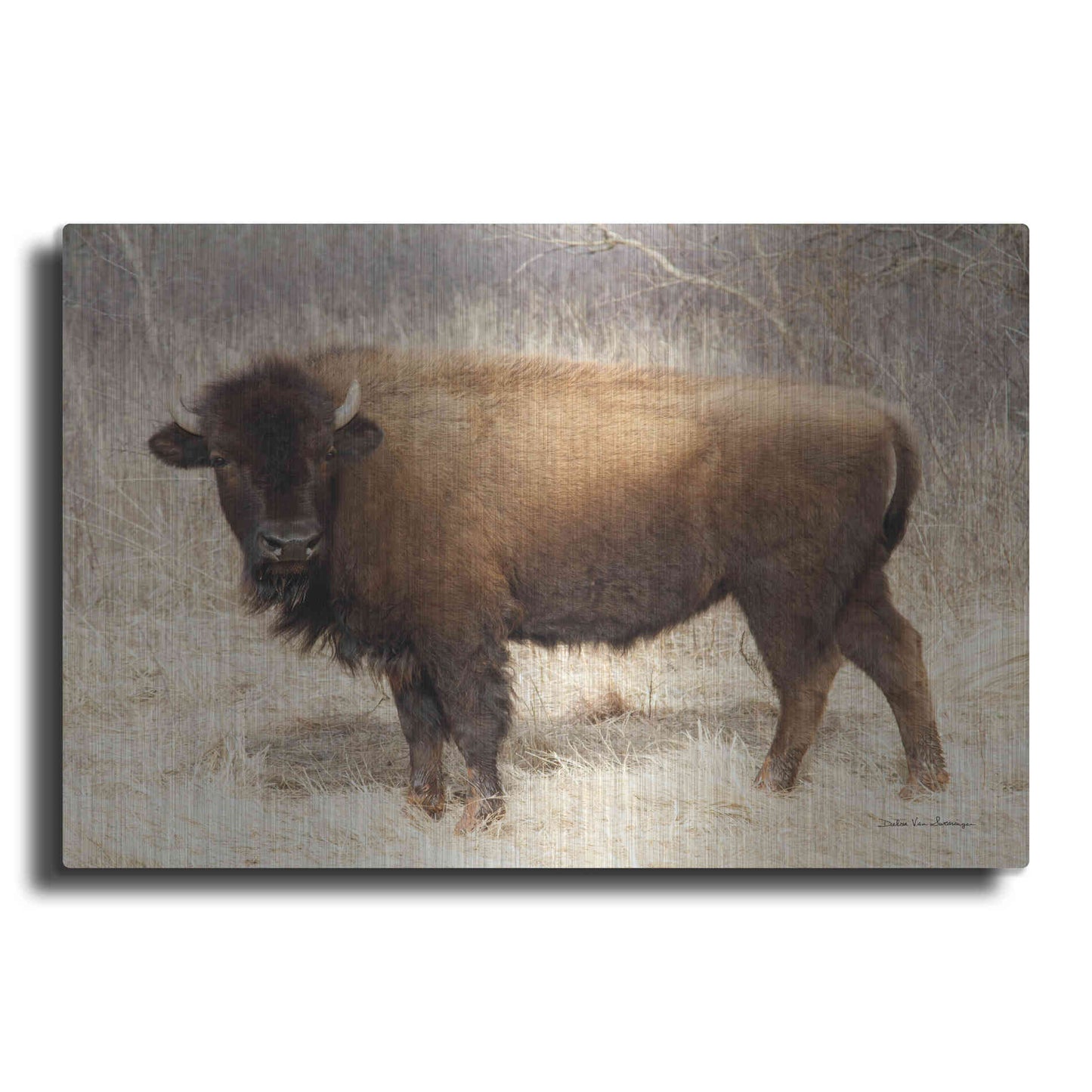 Luxe Metal Art 'American Bison I' by Debra Van Swearingen, Metal Wall Art